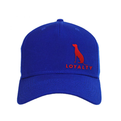 FLEXFIT LOYALTY BASEBALL HAT